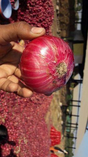 Indian Red Onion & Potato