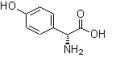 PHPG base(D(-)-p-Hydroxyphenylglycine)