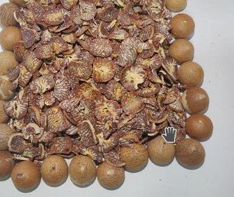 Brown Sevardhan Cutting Betel Nuts
