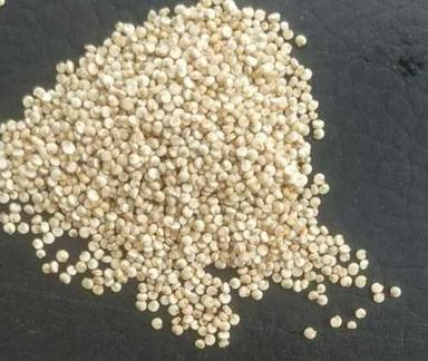 Organic Process Quinoa Seeds Broken Ratio (%): 0%