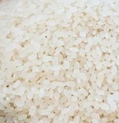 Common Short White Grain Rice