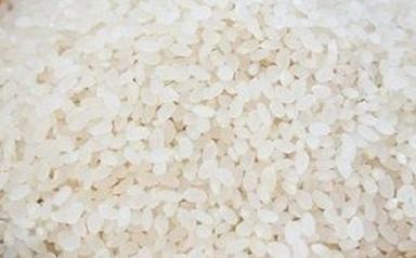 Common Short Grain And Rich Aroma White Rice