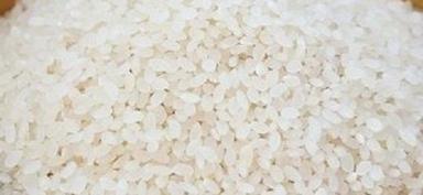 White Short Grain rice