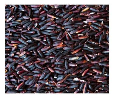 Black Rice Paddy
