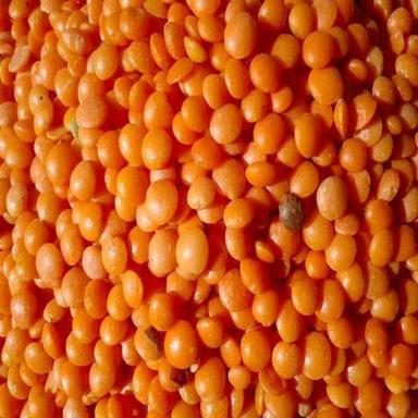 A Grade Commonly Cultivated Pure And Dried Whole Masoor Dal Admixture (%): 5%