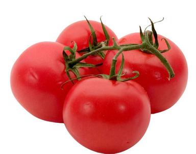 Commonly Cultivated Pure And Raw Whole Juicy Fresh Tomatoes  Moisture (%): 63 %