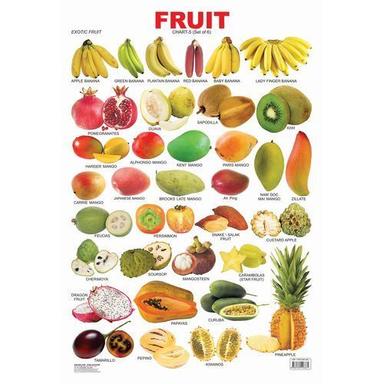 Multicolour For Child Beautiful Bright Visuals With Proper Word Labels Wall Kids Fruit Chart