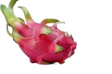 Common Farm Fresh Naturally Grown Oval Shape Red Sweet Dragon Fruit