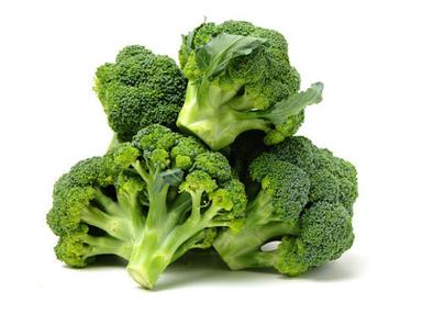 Pesticide Free Commonly Cultivated Fresh Broccoli