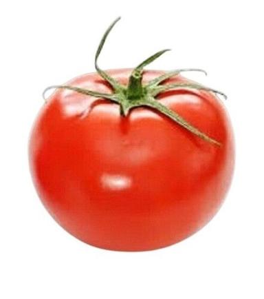 Farm Fresh Round Shape Red Tomato Moisture (%): 94%