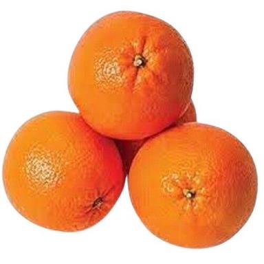 Common Round Shape Sweet Tasty Fresh Orange