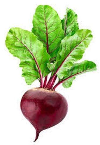 Red Beetroot Moisture (%): 86%