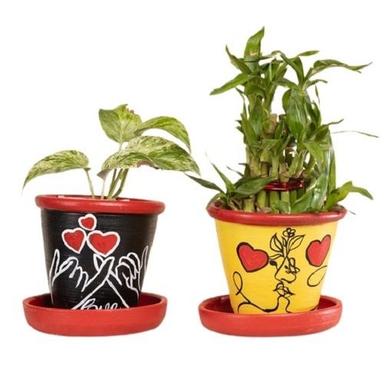 Fencing Round Multicolor Printed Glamorous Indoor Planter