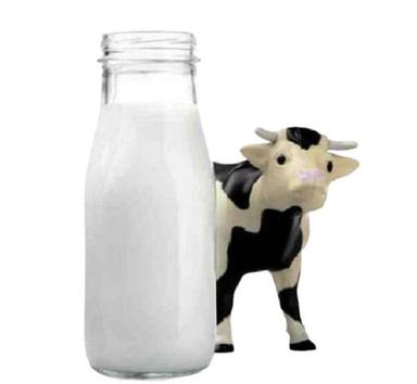 Pure And Healthy Protein Rich Fresh Raw Cow Milk Age Group: Adults