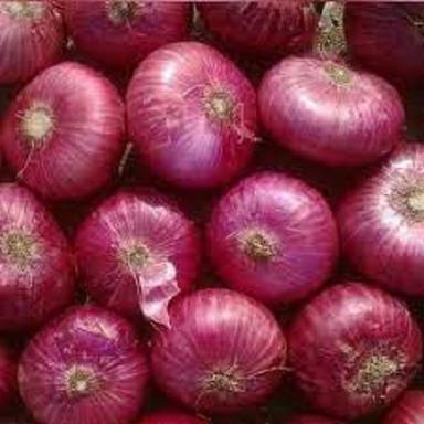 Round Fresh Red Onion 