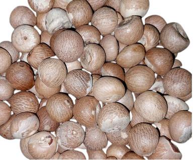 Premium Quality Fresh Flavorful and Aromatic Betel Nut (Supari)
