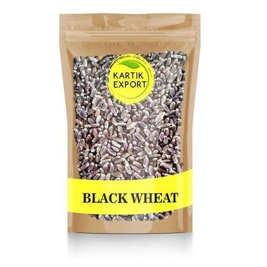 Black Wheat Grains