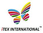 ITEX INTERNATIONAL