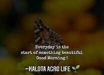 Kalota Agro Life Private Limited