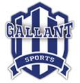 GALLANT SPORTS & INFRA PRIVATE LIMITED