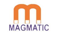 MAGMATIC NDT SYSTEMS PRIVATE LIMITED