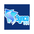 SYNCO INDUSTRIES LIMITED