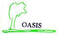 OASIS CONCRETE SOLUTIONS