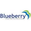 BLUEBERRY GLOBAL TRADING COMPANY