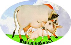 BALAJI GOSHALA